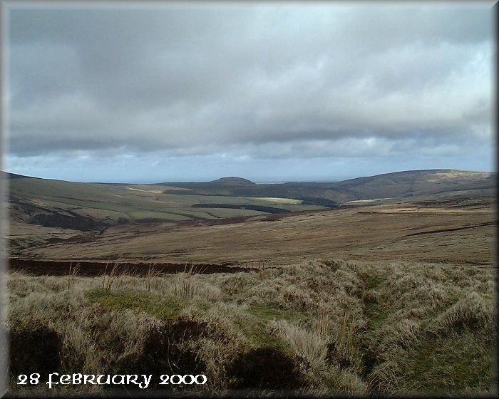 Moorland