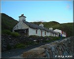 Niarbyl