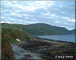 Niarbyl