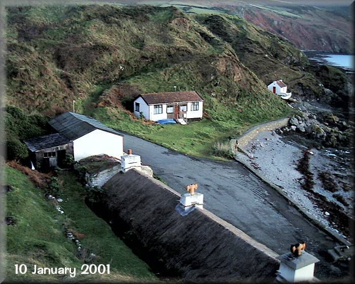 Niarbyl